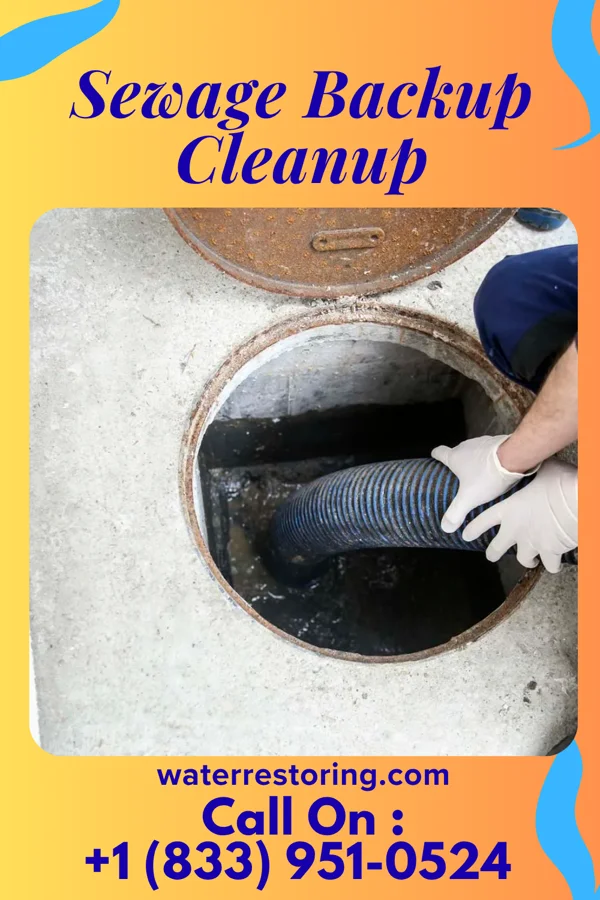 Sewage Backup Cleanup in Marathon, FL